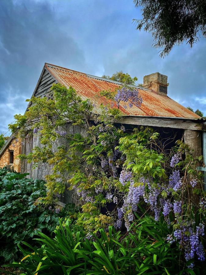 פורט פיירי Cherry Plum Cottages מראה חיצוני תמונה